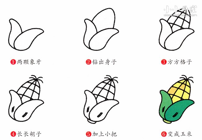 带叶子玉米简笔画画法图片步骤步骤2