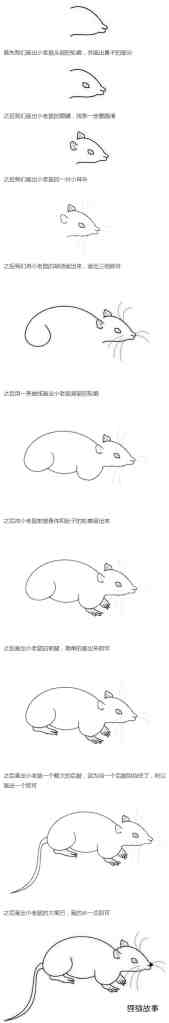 绘本故事小老鼠的画法步骤图简单又好看