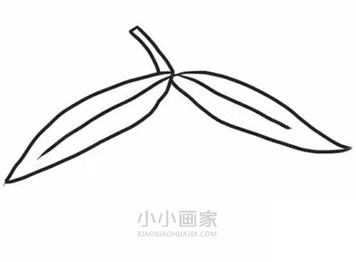 彩色芒果简笔画画法图片步骤步骤5