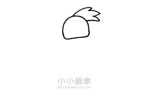 捉虫子的啄木鸟简笔画画法图片步骤步骤2