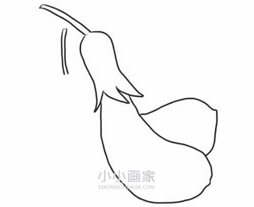 两只茄子简笔画画法图片步骤步骤6