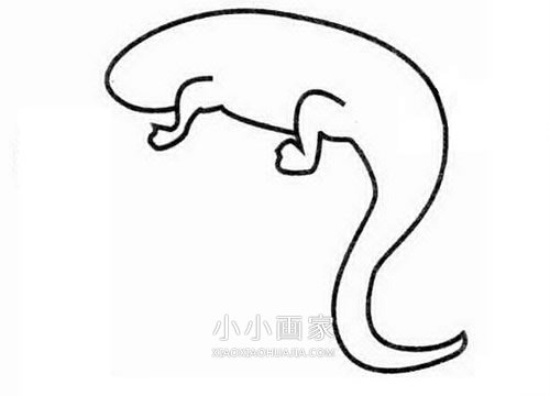 简单蜥蜴简笔画画法图片步骤步骤2