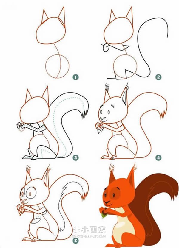 绘本故事漂亮松鼠简笔画画法图片步骤