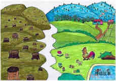 绘本故事环保家园主题儿童画_保护绿色家园图片