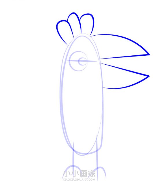 鹦鹉波利简笔画画法图片步骤步骤4