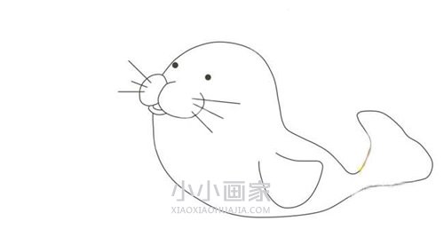 表演杂技海豹简笔画画法图片步骤步骤5