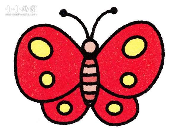 彩色小蝴蝶简笔画画法图片步骤步骤1