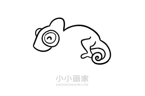 可爱彩色变色龙简笔画画法图片步骤步骤4