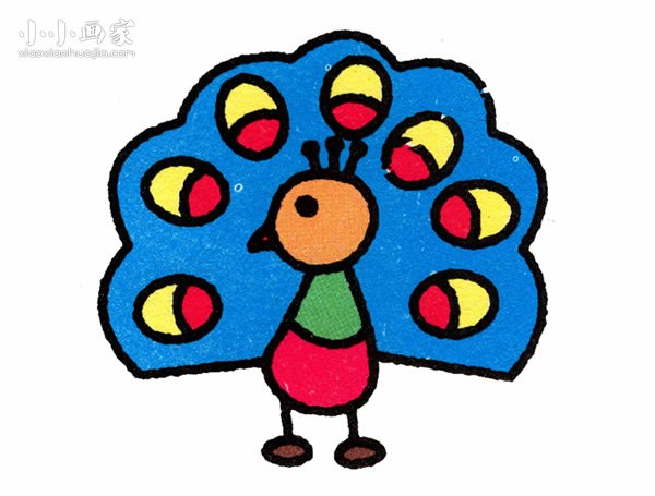彩色小孔雀简笔画画法图片步骤步骤1