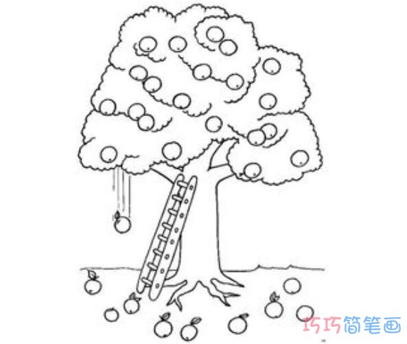 丰收的苹果树怎么画好看涂色_秋天的简笔画图片步骤1