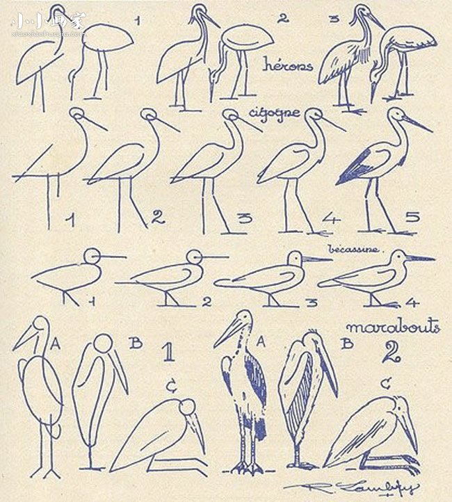绘本故事会捉鱼的鸟类简笔画画法图片步骤