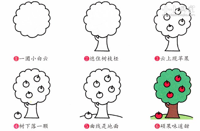 绘本故事苹果树简笔画画法图片步骤
