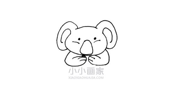 呆萌树袋熊简笔画画法图片步骤步骤4