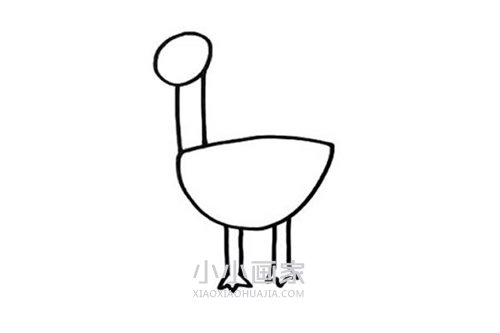 可爱鸵鸟简笔画画法图片步骤步骤3