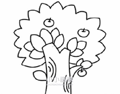 简单苹果树简笔画画法图片步骤步骤6