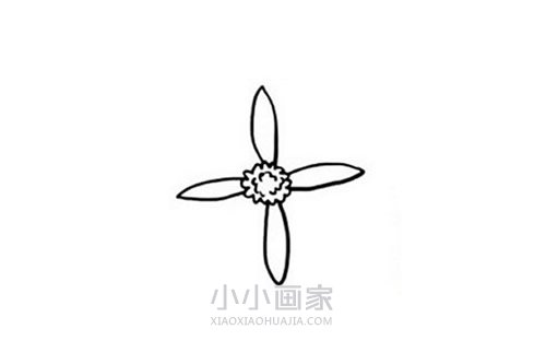 清明节菊花简笔画画法图片步骤步骤3