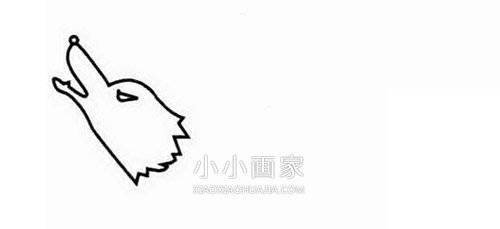 简单狼的简笔画画法图片步骤步骤2