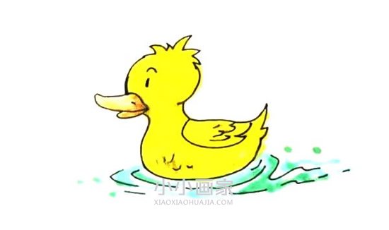 绘本故事水中的黄色鸭子简笔画画法图片步骤