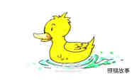 水中的黄色鸭子简笔画画法图片步骤步骤9
