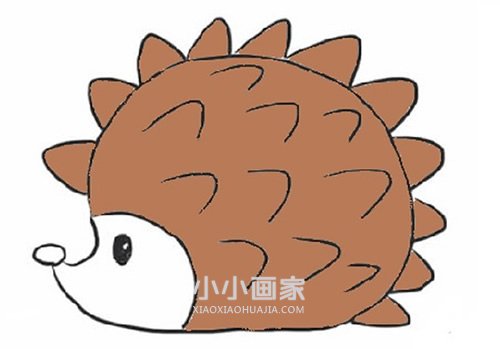 绘本故事胖乎乎小刺猬简笔画画法图片步骤