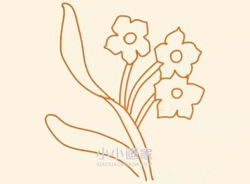 简单水仙花简笔画画法图片步骤步骤6