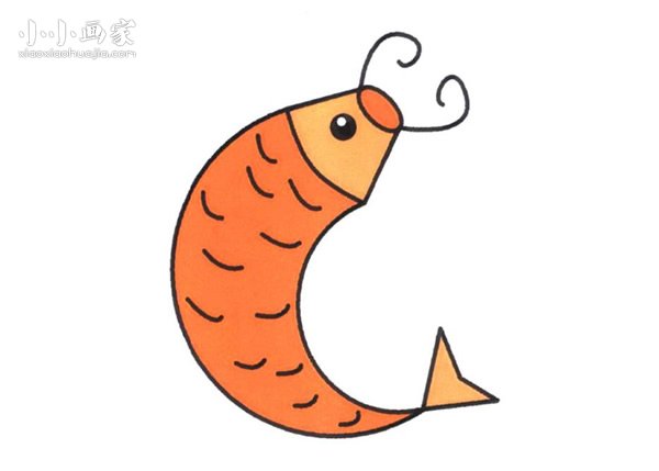 跃起的鲤鱼简笔画画法图片步骤步骤1