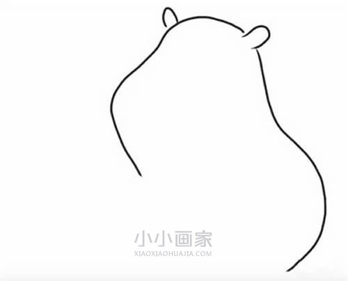 可爱豚鼠简笔画画法图片步骤步骤2