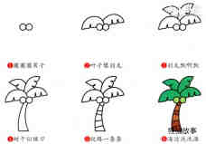绘本故事彩色椰树简笔画画法图片步骤