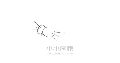 表演杂技海豹简笔画画法图片步骤步骤2