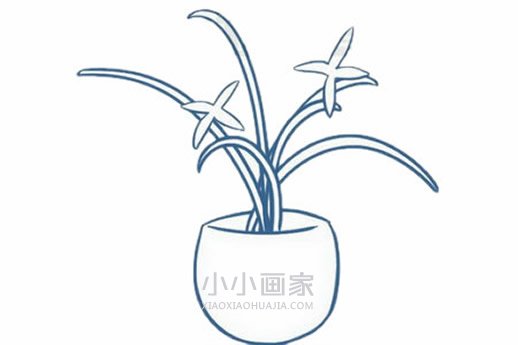 彩色兰花简笔画画法图片步骤步骤4
