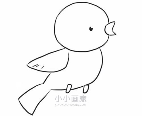 停在电线上的小鸟简笔画画法图片步骤步骤6