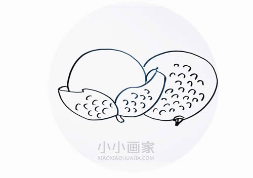 绘本故事简单荔枝简笔画画法图片步骤