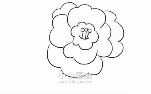 黑白山茶花简笔画画法图片步骤步骤6