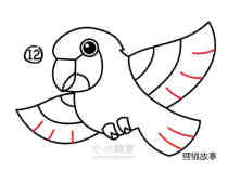 绘本故事飞起的鹦鹉简笔画画法图片步骤