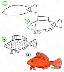 绘本故事红色的鱼简笔画画法图片步骤