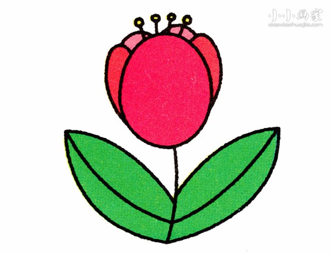 彩色郁金香花简笔画画法图片步骤步骤1