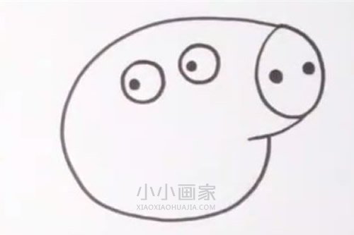 彩色小猪佩奇简笔画画法图片步骤步骤3