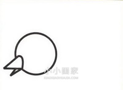 飞行的小麻雀简笔画画法图片步骤步骤2