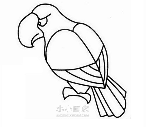 树枝上的老鹰简笔画画法图片步骤步骤5