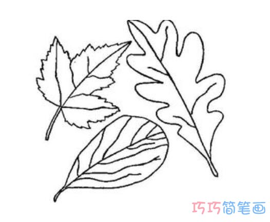 卡通秋天树叶怎么画好看涂颜色_秋天简笔画图片步骤1