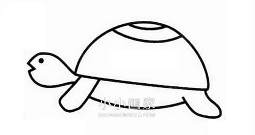 爬行乌龟简笔画画法图片步骤步骤1