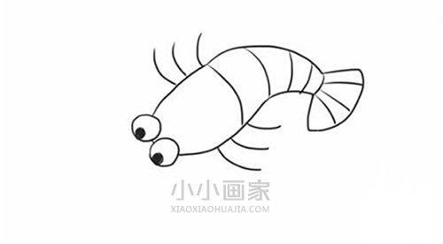 简单龙虾简笔画画法图片步骤步骤6