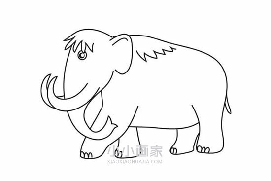 绘本故事猛犸象简笔画画法图片步骤