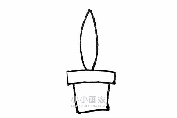 彩色虎皮兰简笔画画法图片步骤步骤4