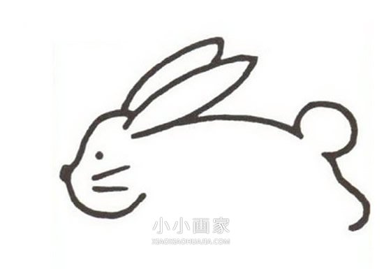 粉红小兔简笔画画法图片步骤步骤4