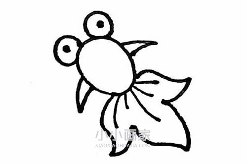 美丽金鱼简笔画画法图片步骤步骤6