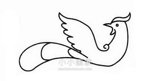 美丽凤凰简笔画画法图片步骤步骤3