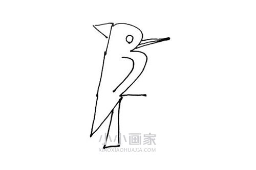吃虫子啄木鸟简笔画画法图片步骤步骤5