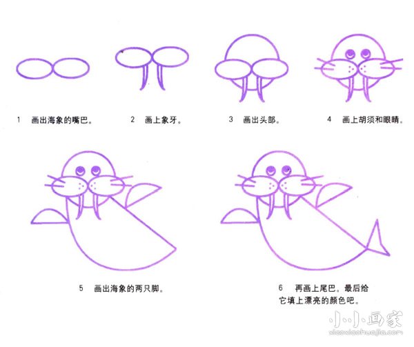 绘本故事可爱海象简笔画画法图片步骤