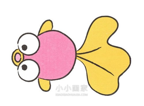可爱小金鱼简笔画画法图片步骤步骤1